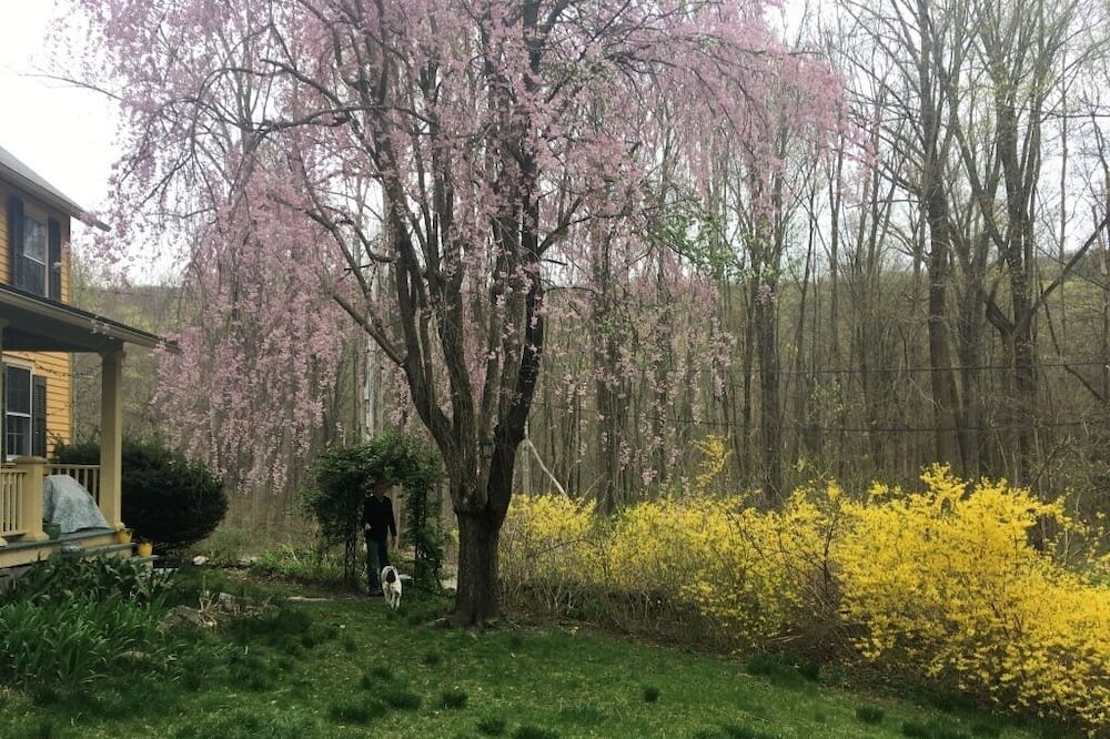 Photo of Outdoor in Cold Spring