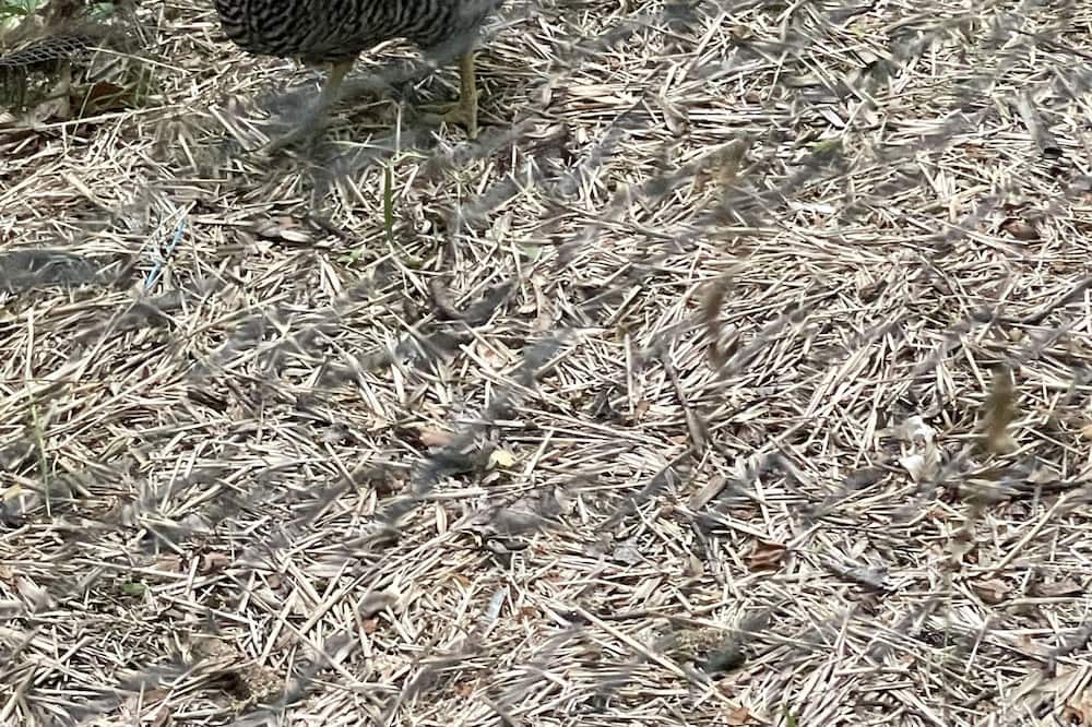 Photo of Outdoor in Cold Spring