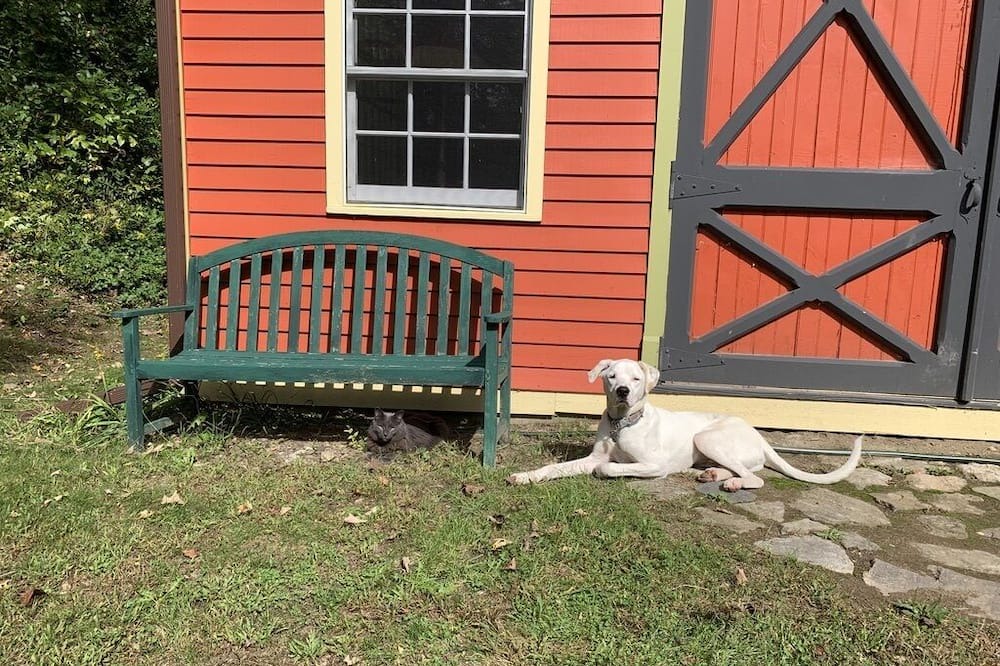 Photo of Outdoor in Cold Spring