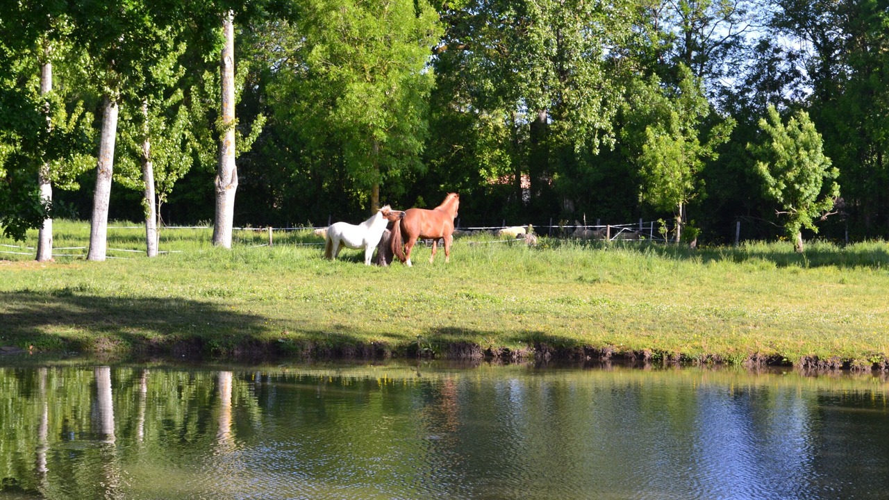 Photo of Outdoor in Marans