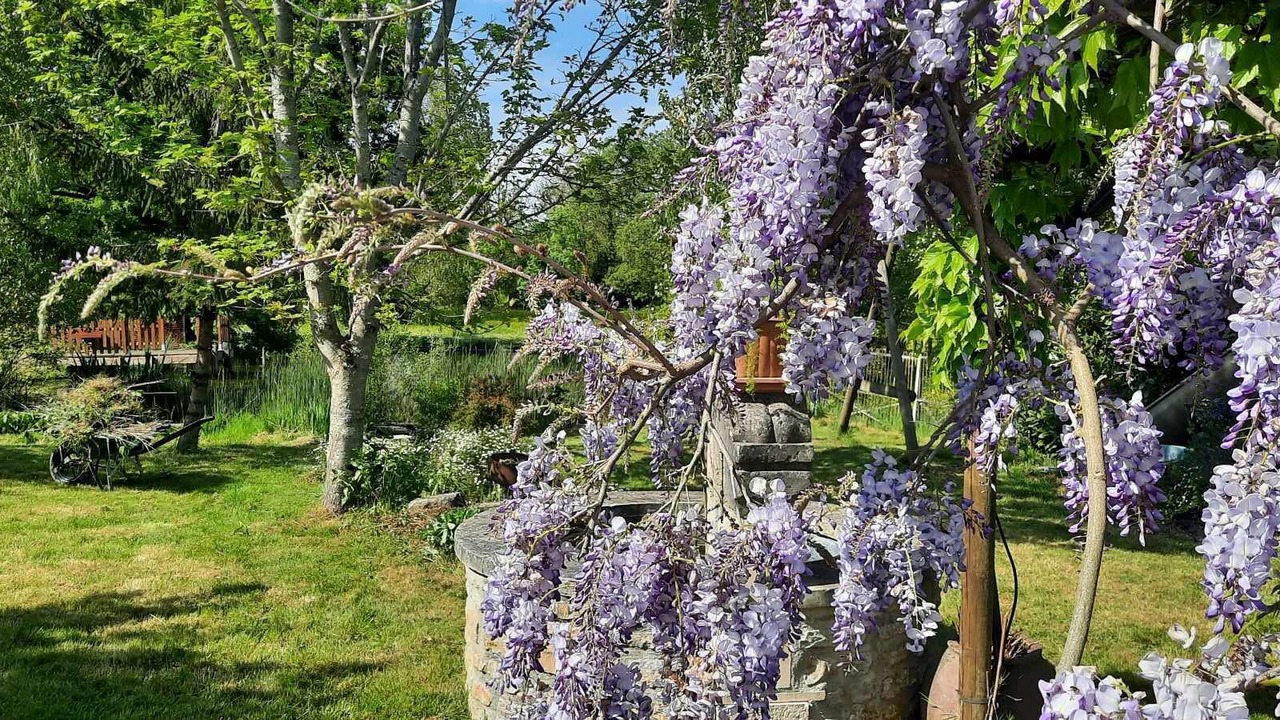 Photo of Outdoor in Marans