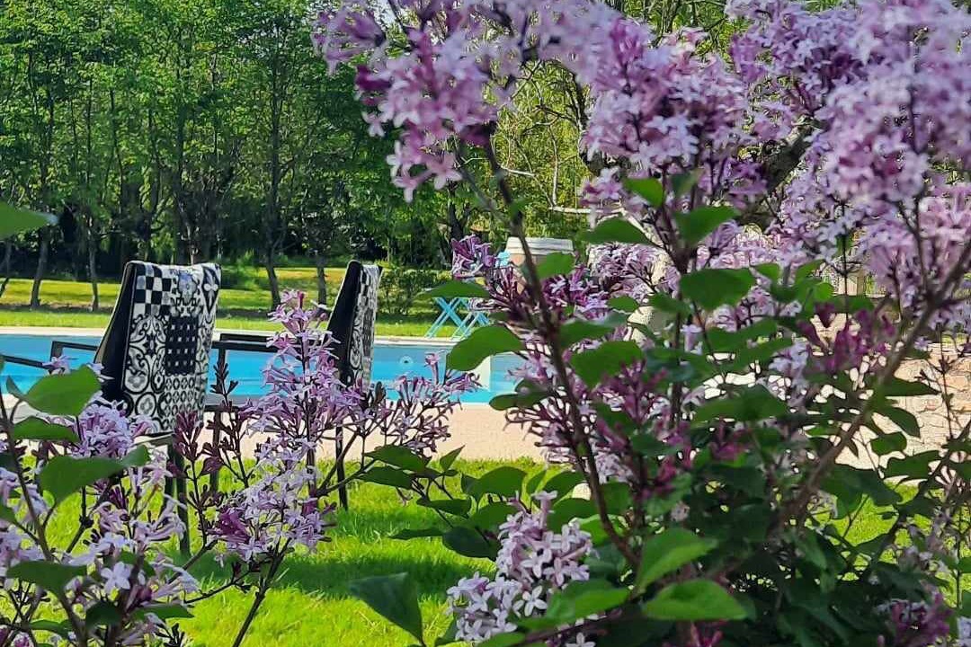 Photo of Outdoor in Marans