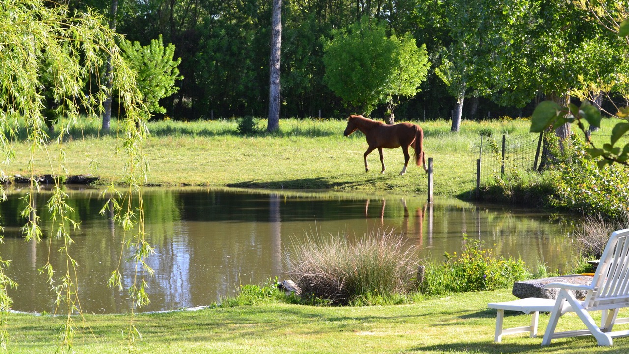 Photo of Outdoor in Marans