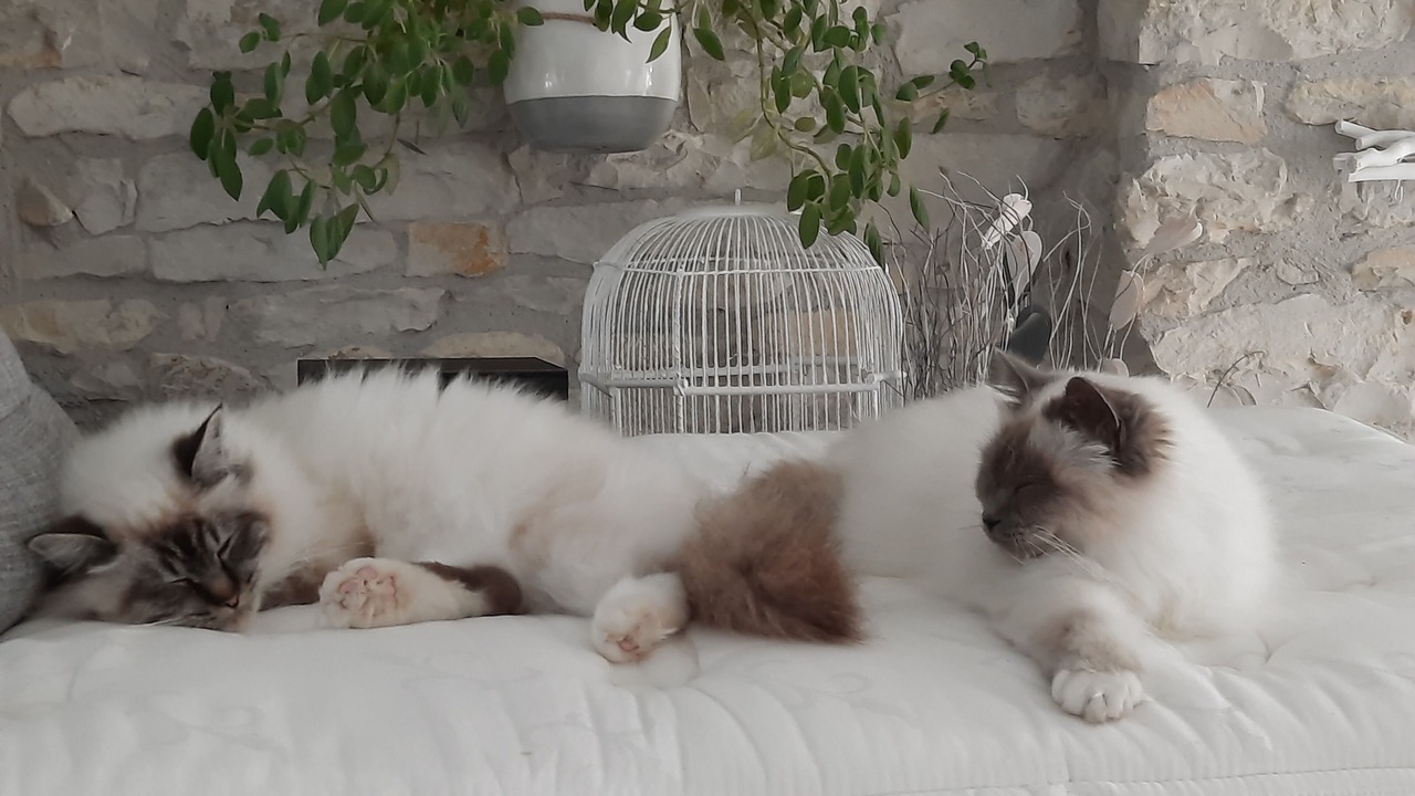 Photo of Others in Marans