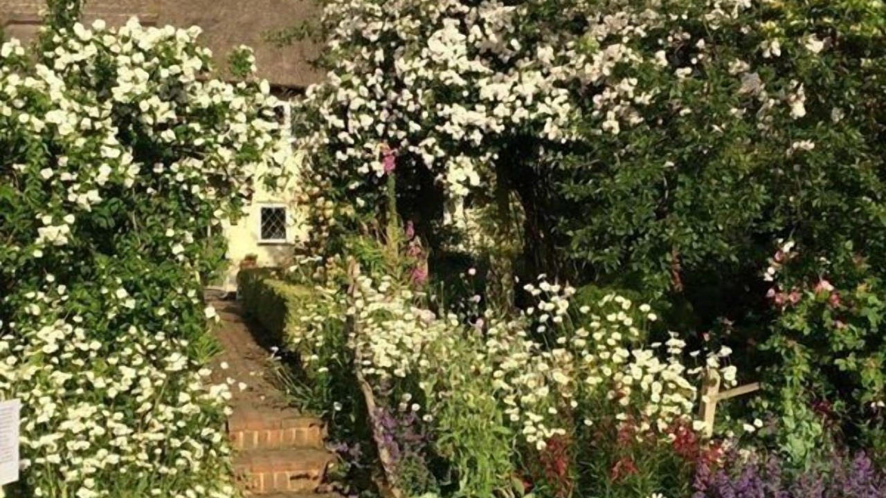 Photo of Outdoor in Edenbridge