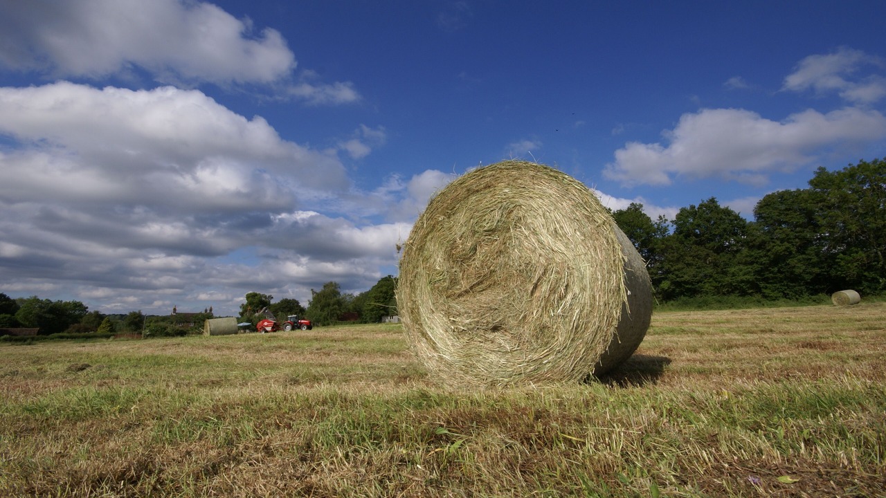 Photo of Others in Edenbridge