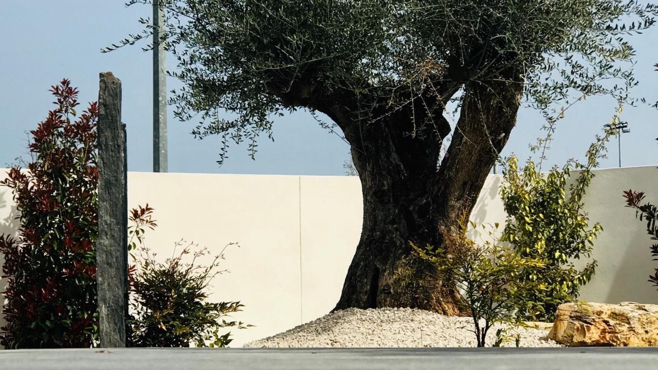 Photo of Outdoor in Vendargues