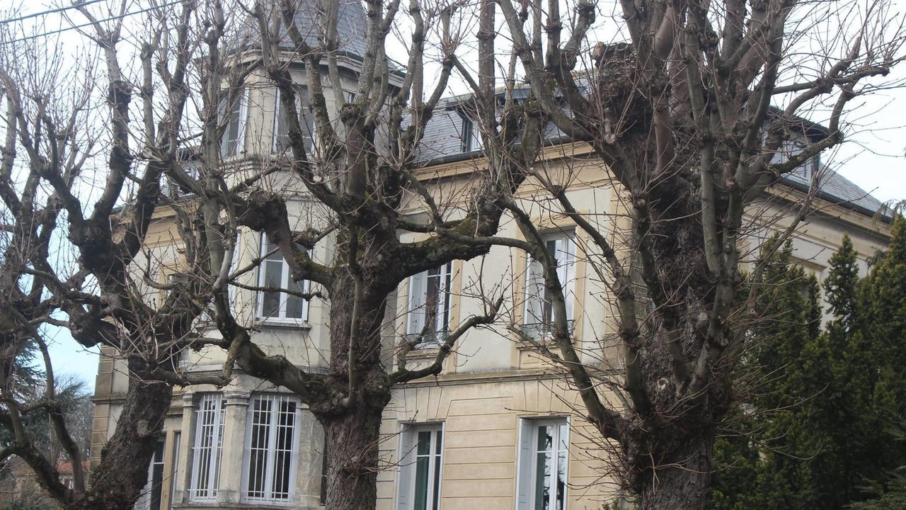 Photo of Outdoor in Saint-Didier-en-Velay