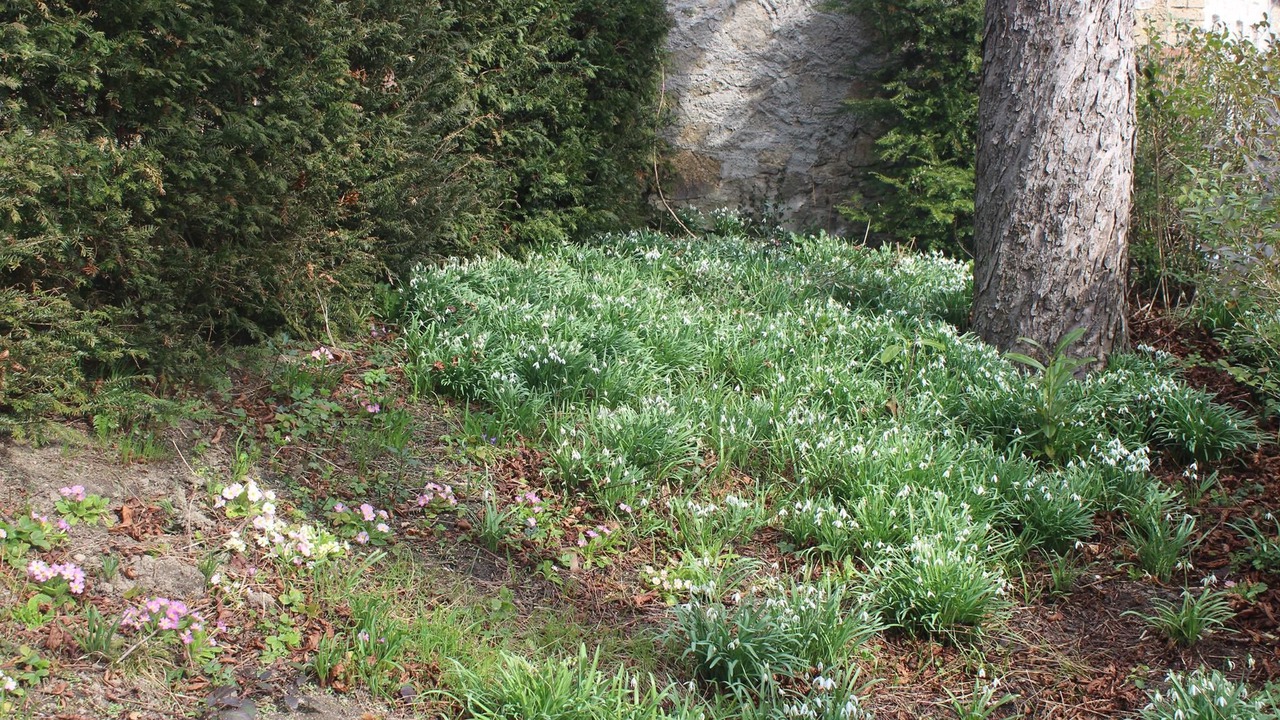 Photo of Outdoor in Saint-Didier-en-Velay