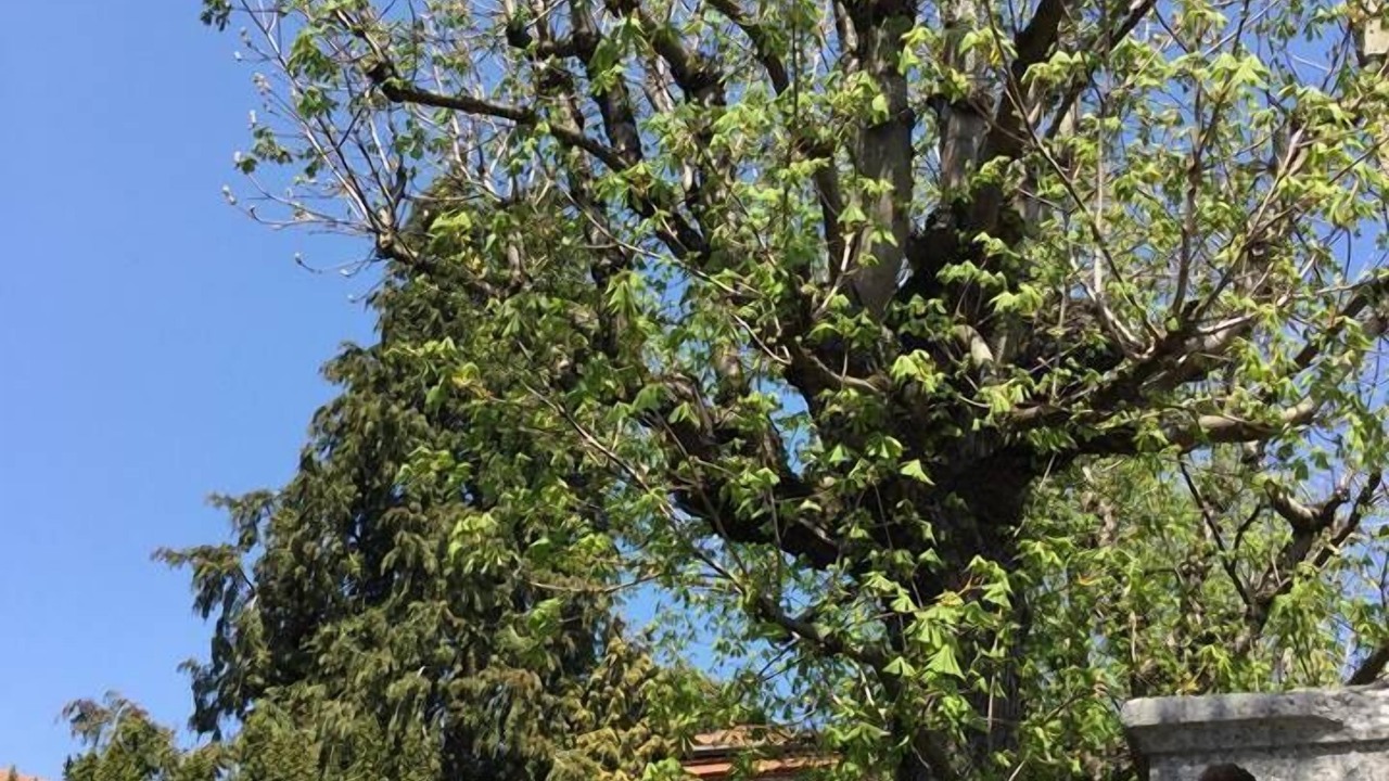 Photo of Outdoor in Saint-Didier-en-Velay