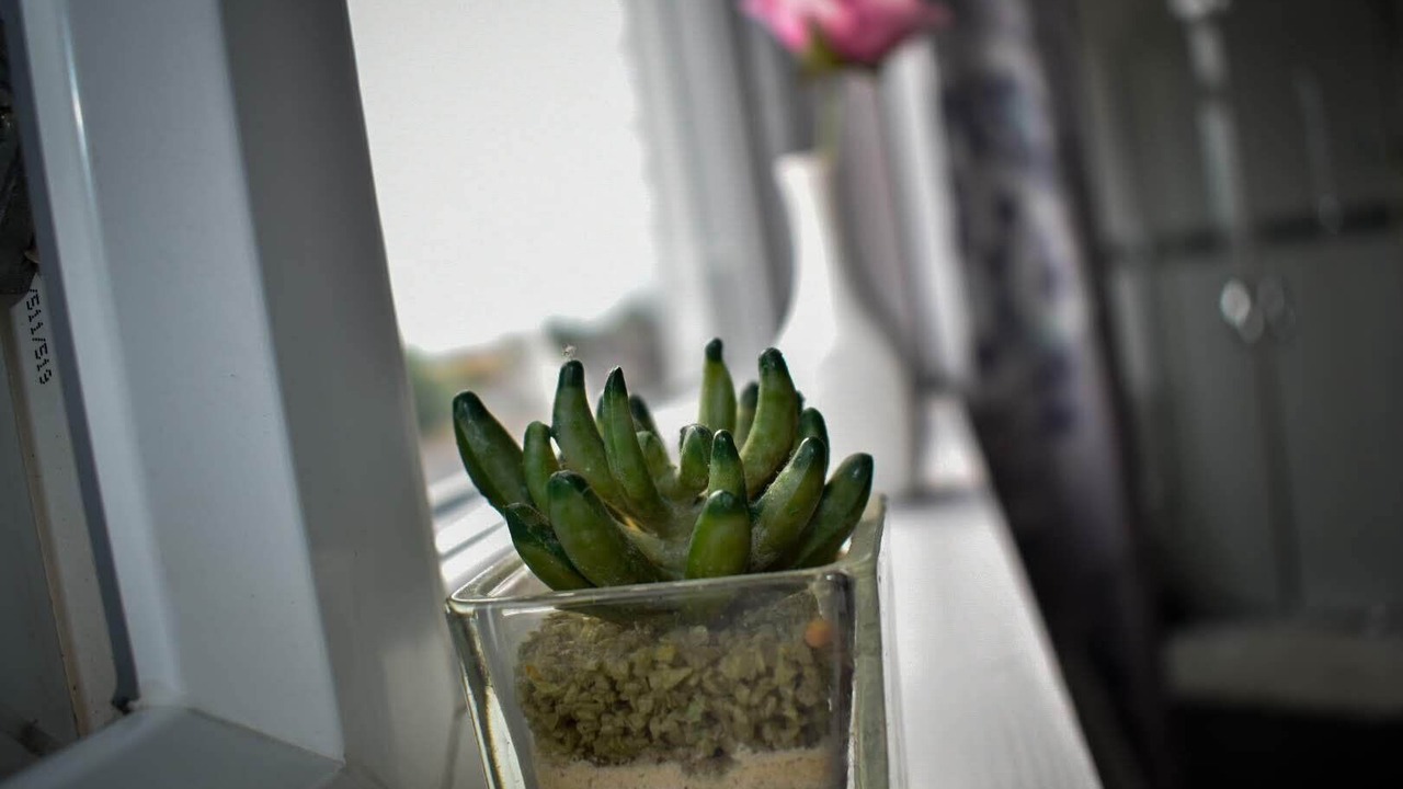 Photo of Others in Exmouth