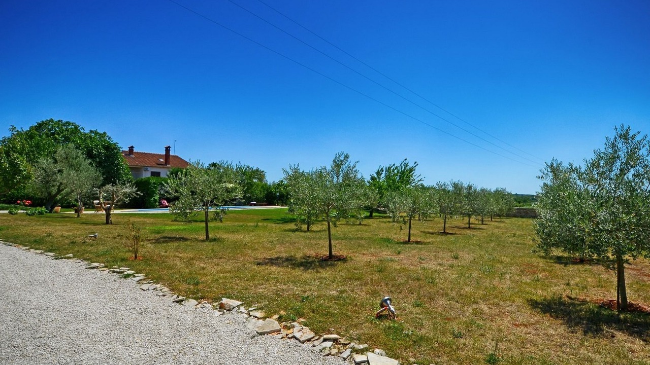 Photo of Outdoor in Kringa
