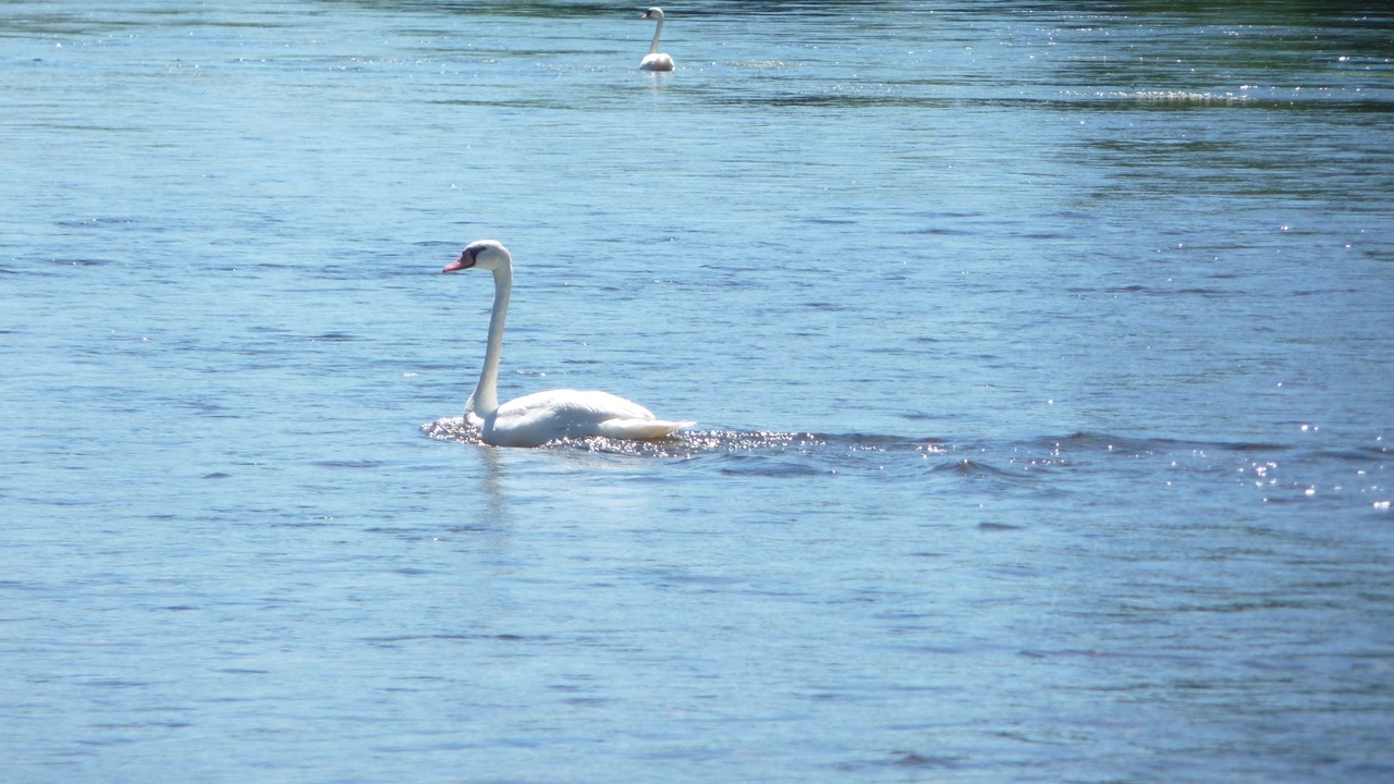 Photo of Outdoor in Saint-Avit-Saint-Nazaire