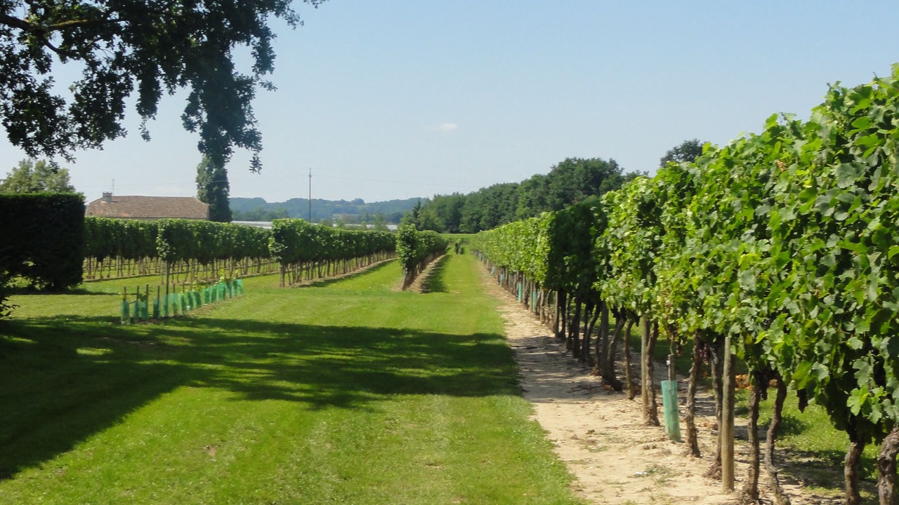 Photo of Outdoor in Saint-Avit-Saint-Nazaire