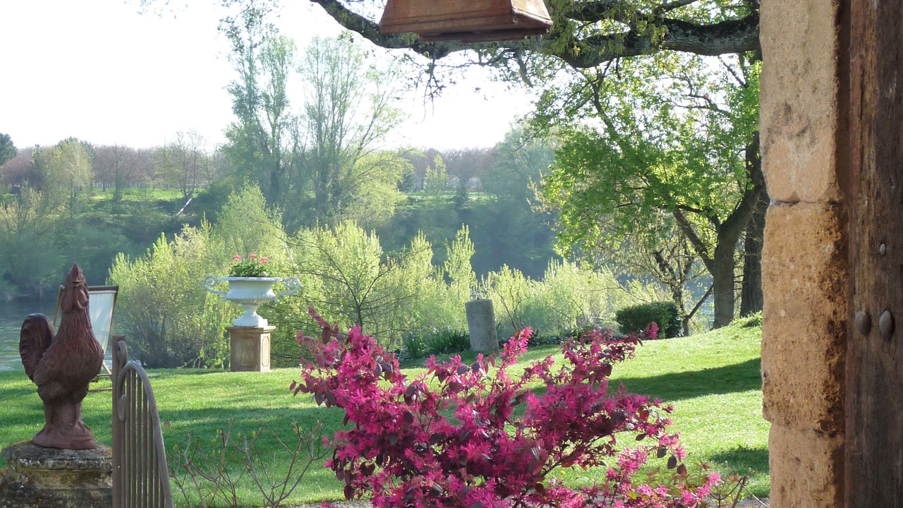 Photo of Outdoor in Saint-Avit-Saint-Nazaire