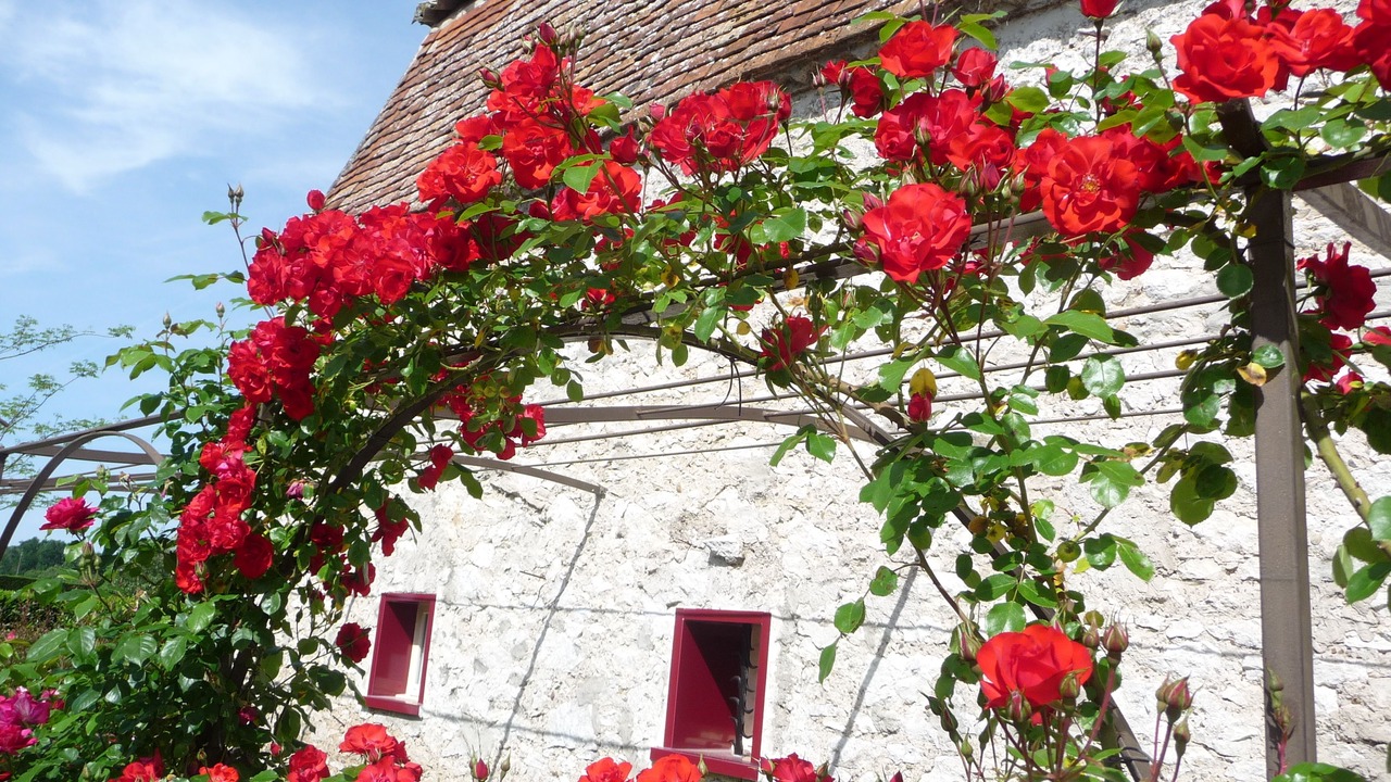 Photo of Outdoor in Saint-Avit-Saint-Nazaire