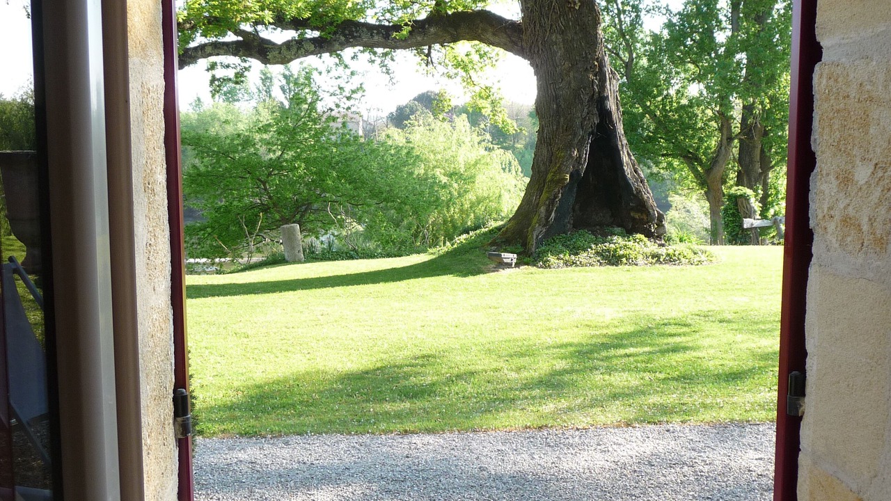 Photo of Outdoor in Saint-Avit-Saint-Nazaire