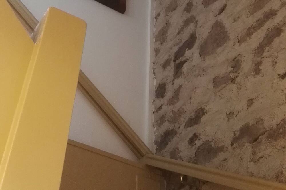 Photo of Others in Alligny-en-Morvan