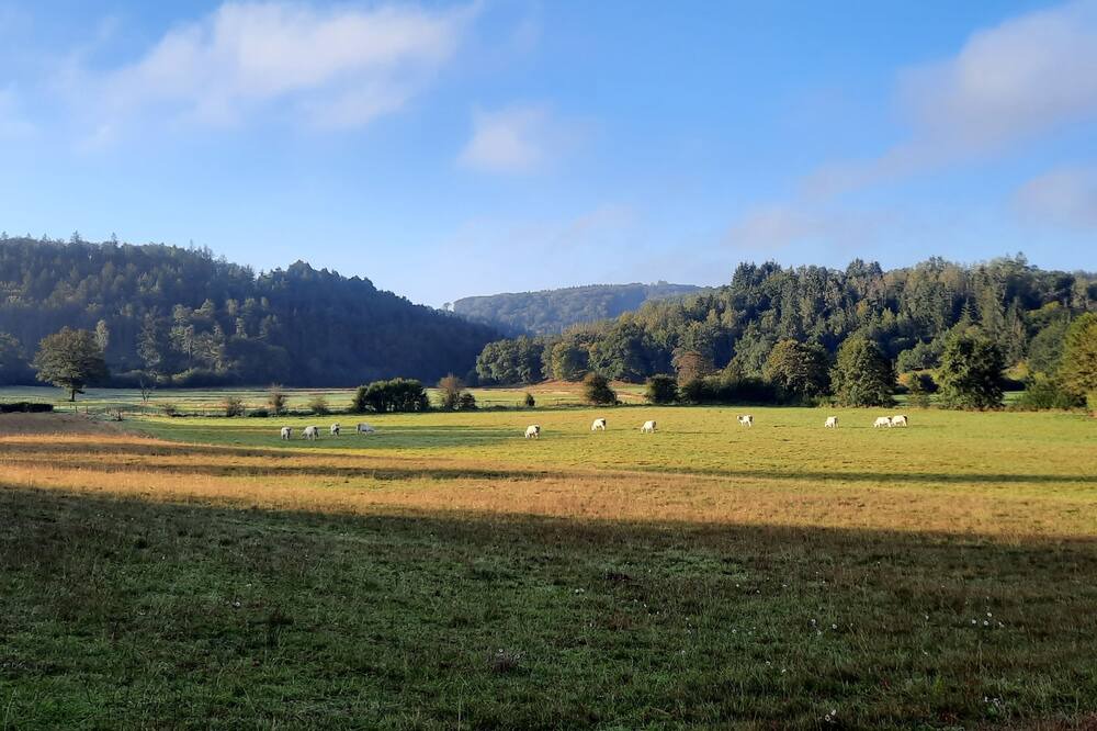 Photo of Others in Alligny-en-Morvan