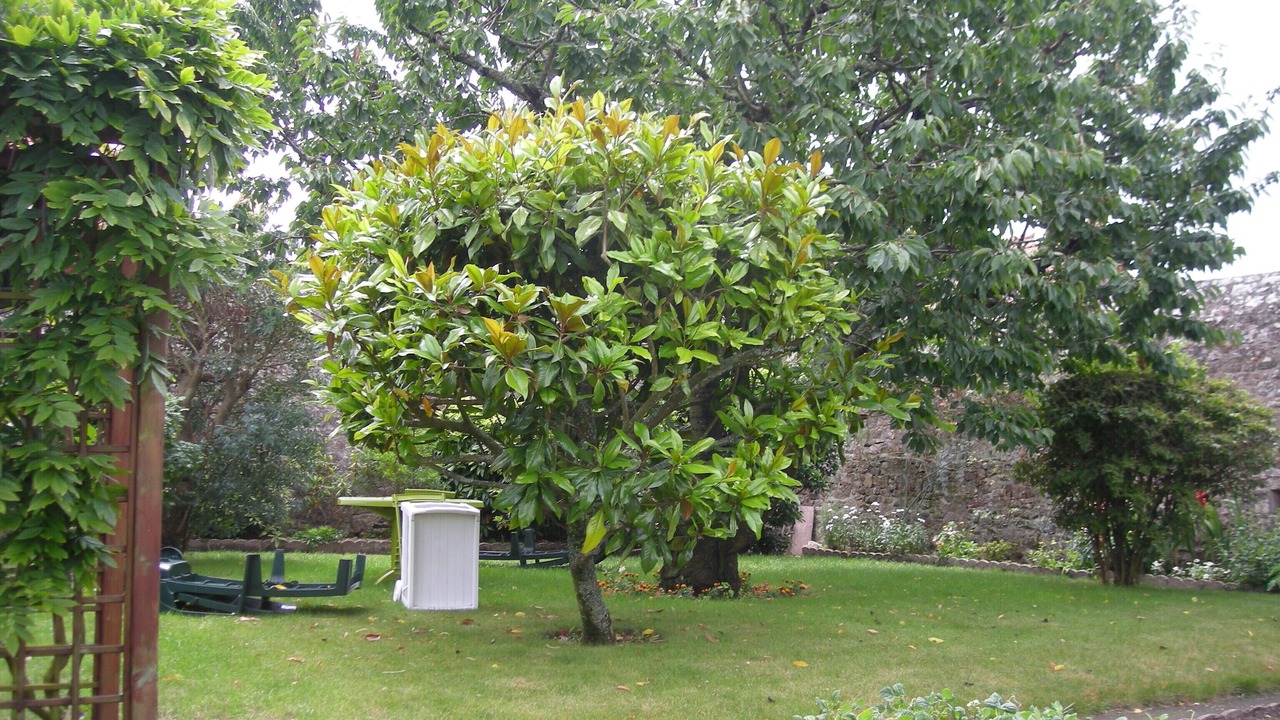 Photo of Outdoor in Port-Louis