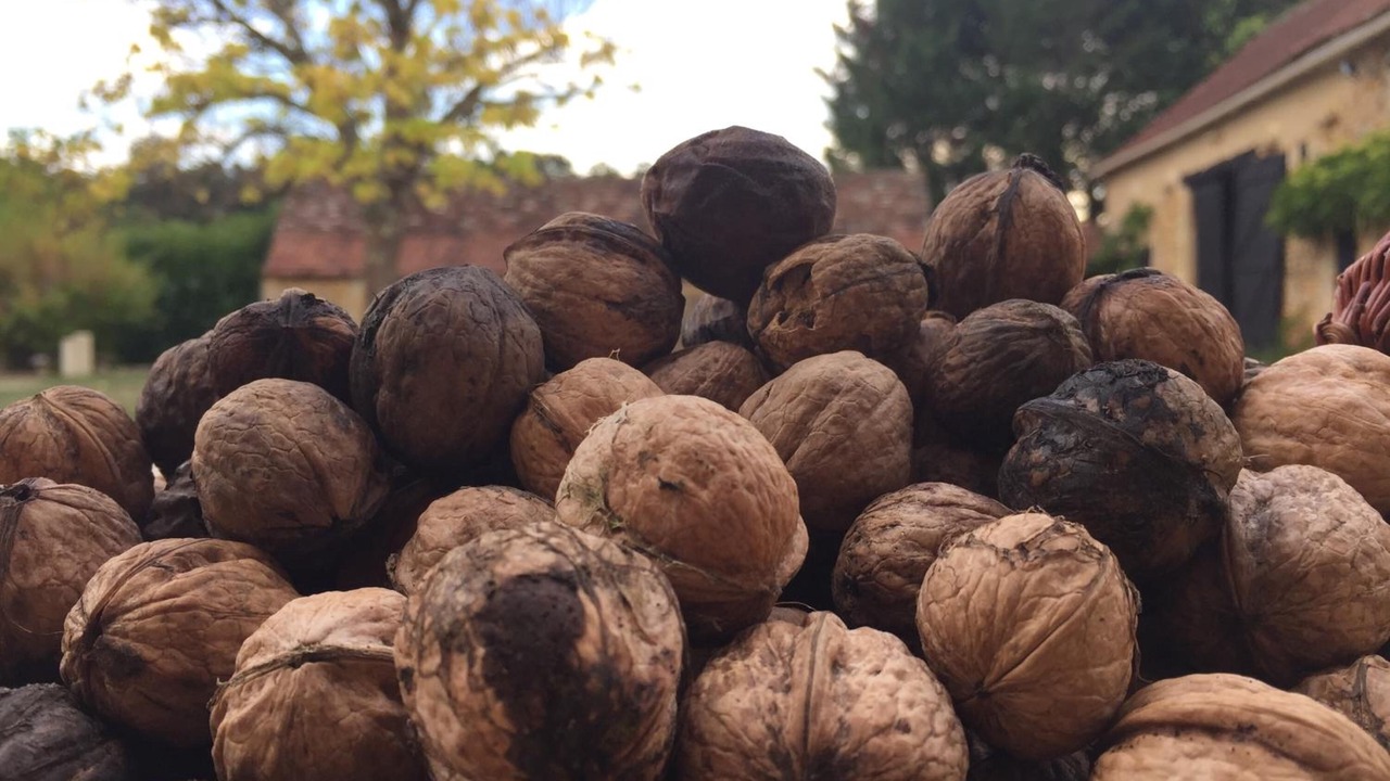Photo of Others in Le Buisson-de-Cadouin