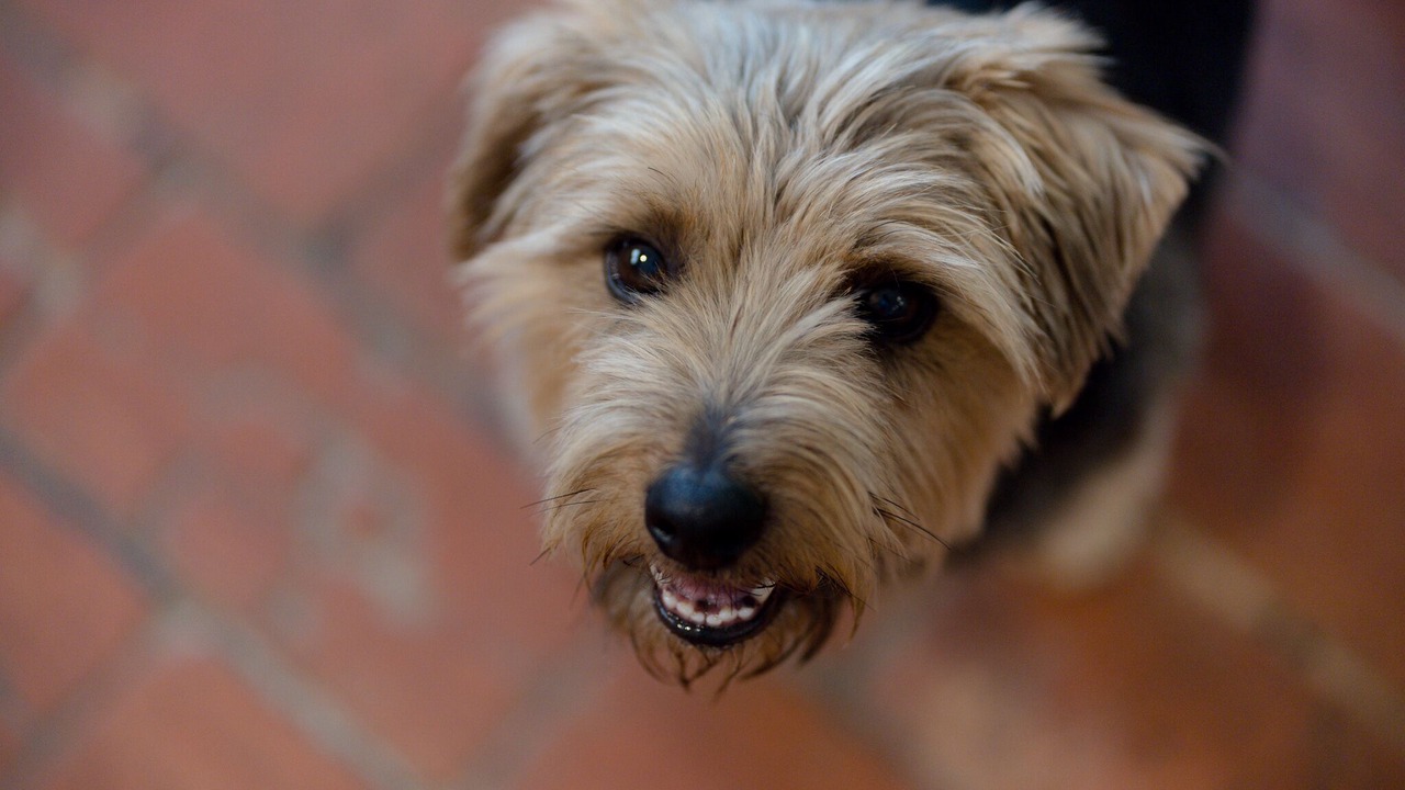 Photo of Bedroom in Hellidon