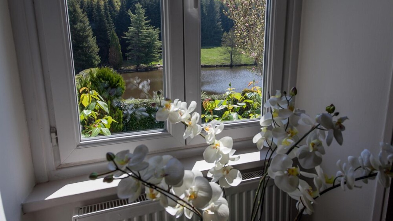 Photo of Others in Bussiere-Galant