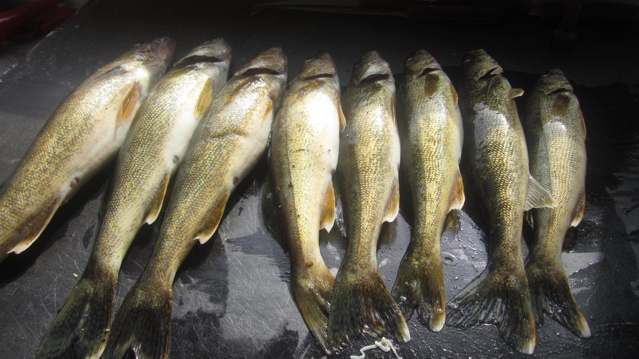 Photo of Others in Wawa