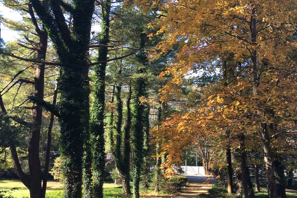 Photo of Others in Cold Spring Harbor