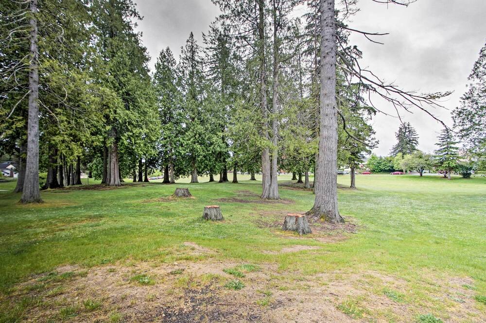 Photo of Others in Aberdeen