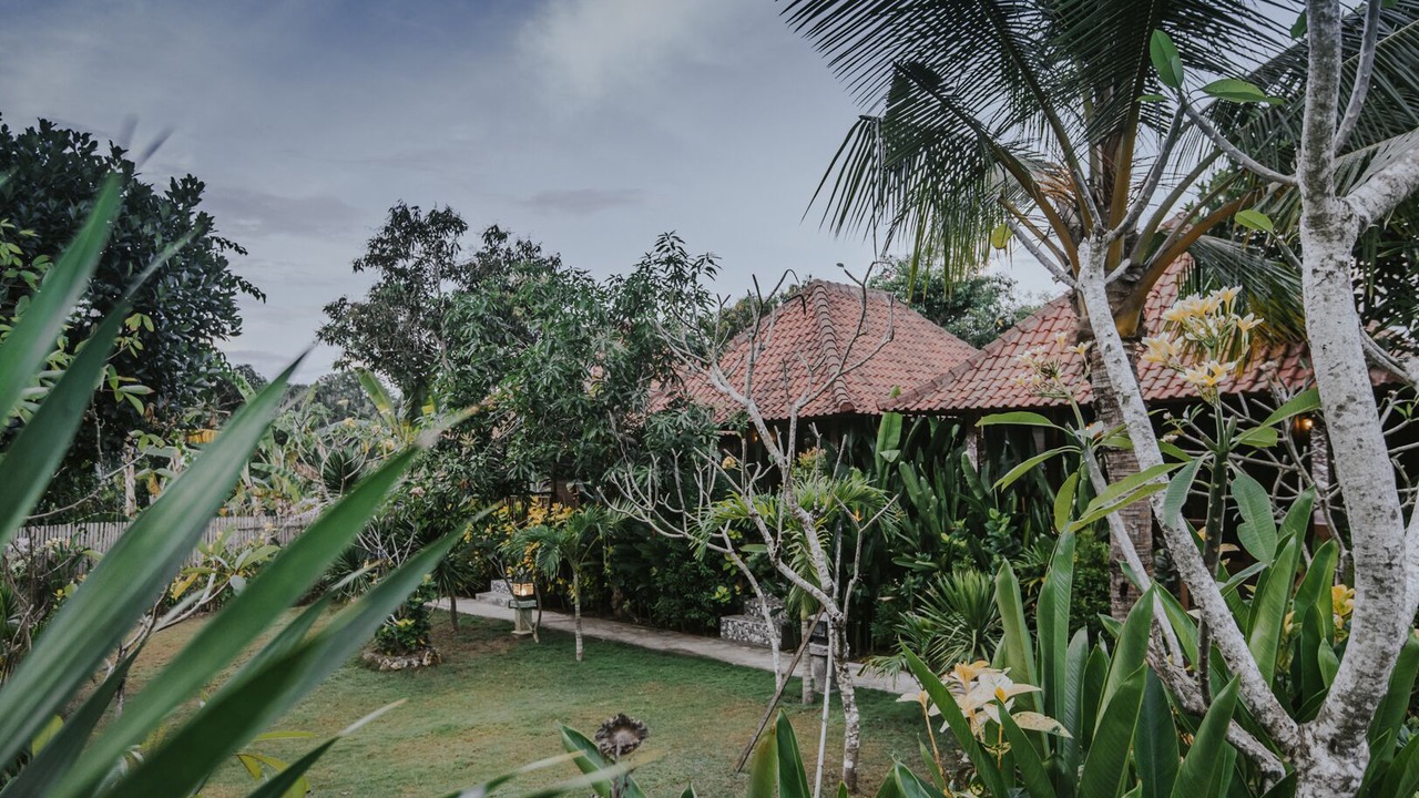 Photo of Outdoor in Mushroom Bay
