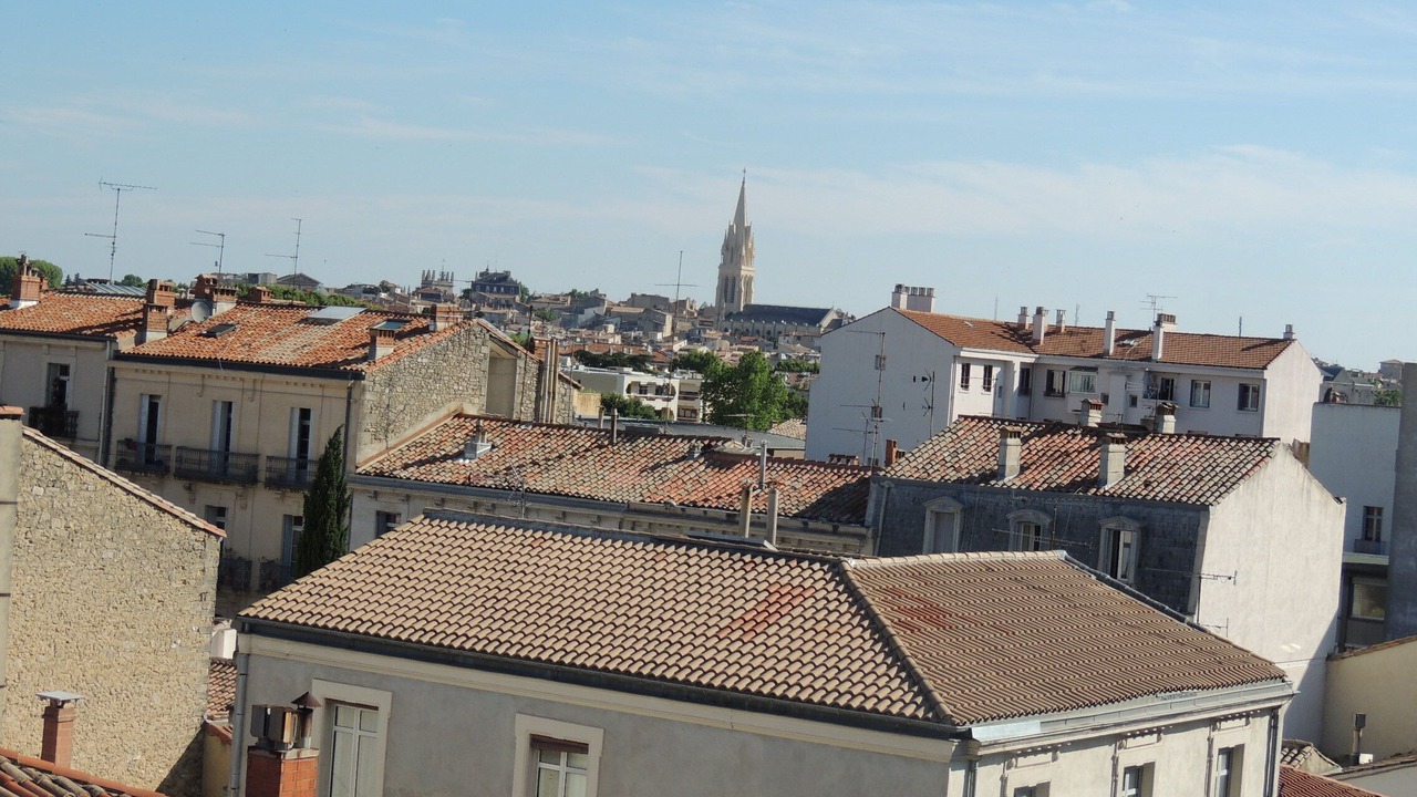 Photo of Others in Gambetta