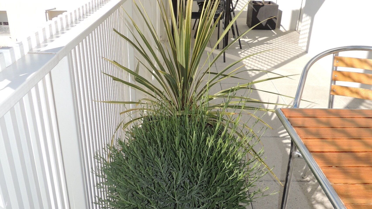 Photo of Outdoor in Gambetta