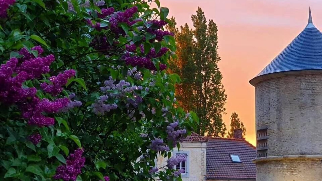 Photo of Outdoor in Guines