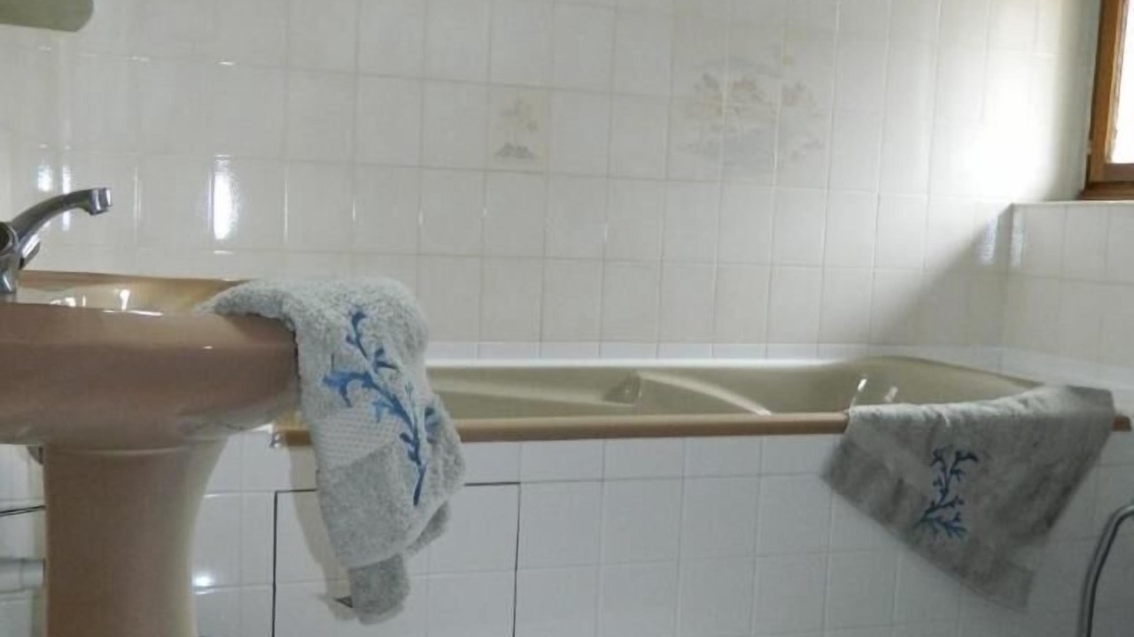 Photo of Others in Guines