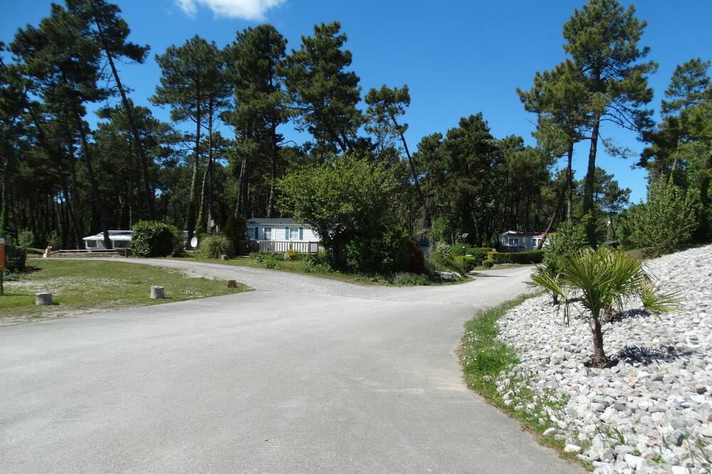 Photo of Others in Camiers