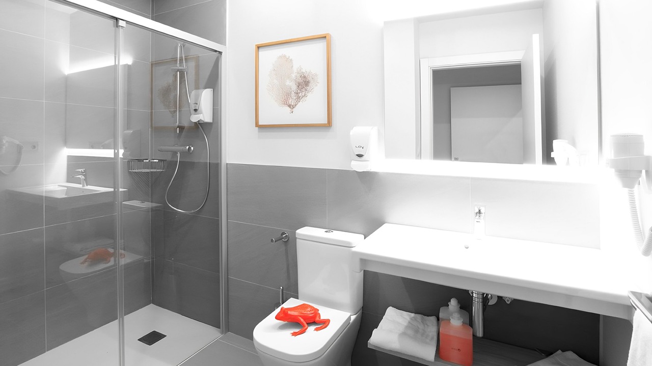 Photo of Bathroom in Eibar