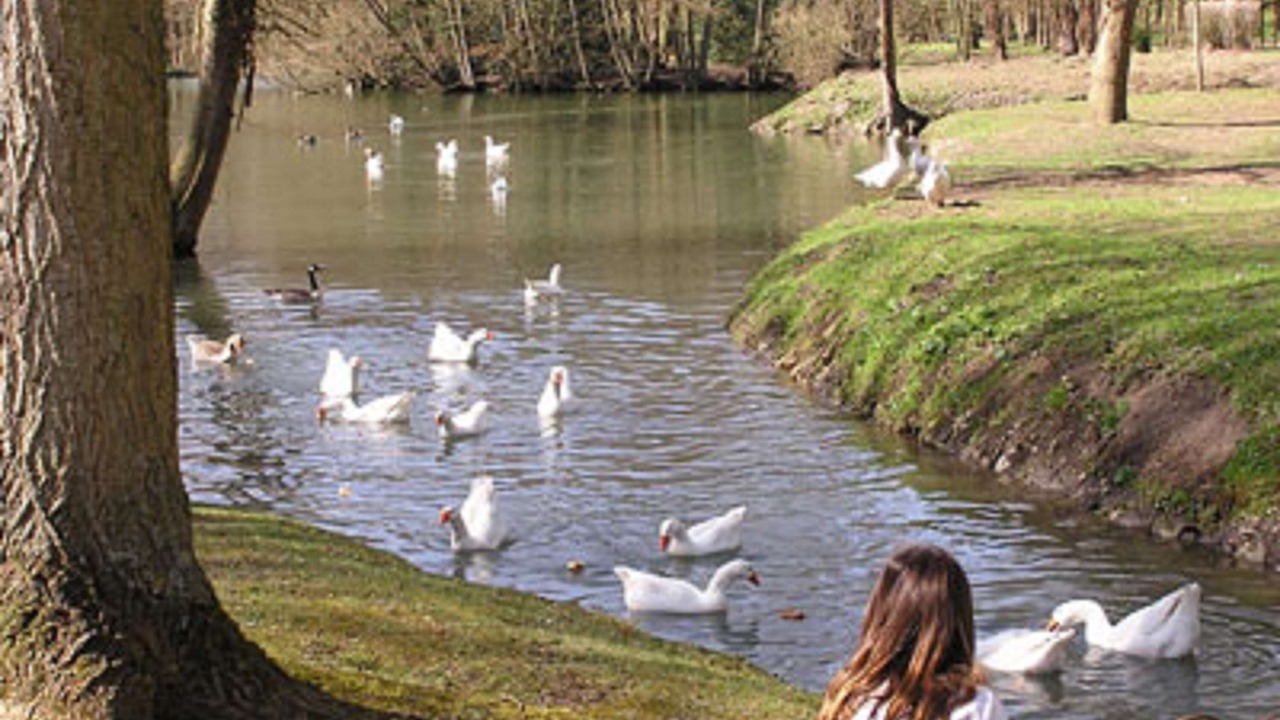 Photo of Others in Crepy-en-Valois