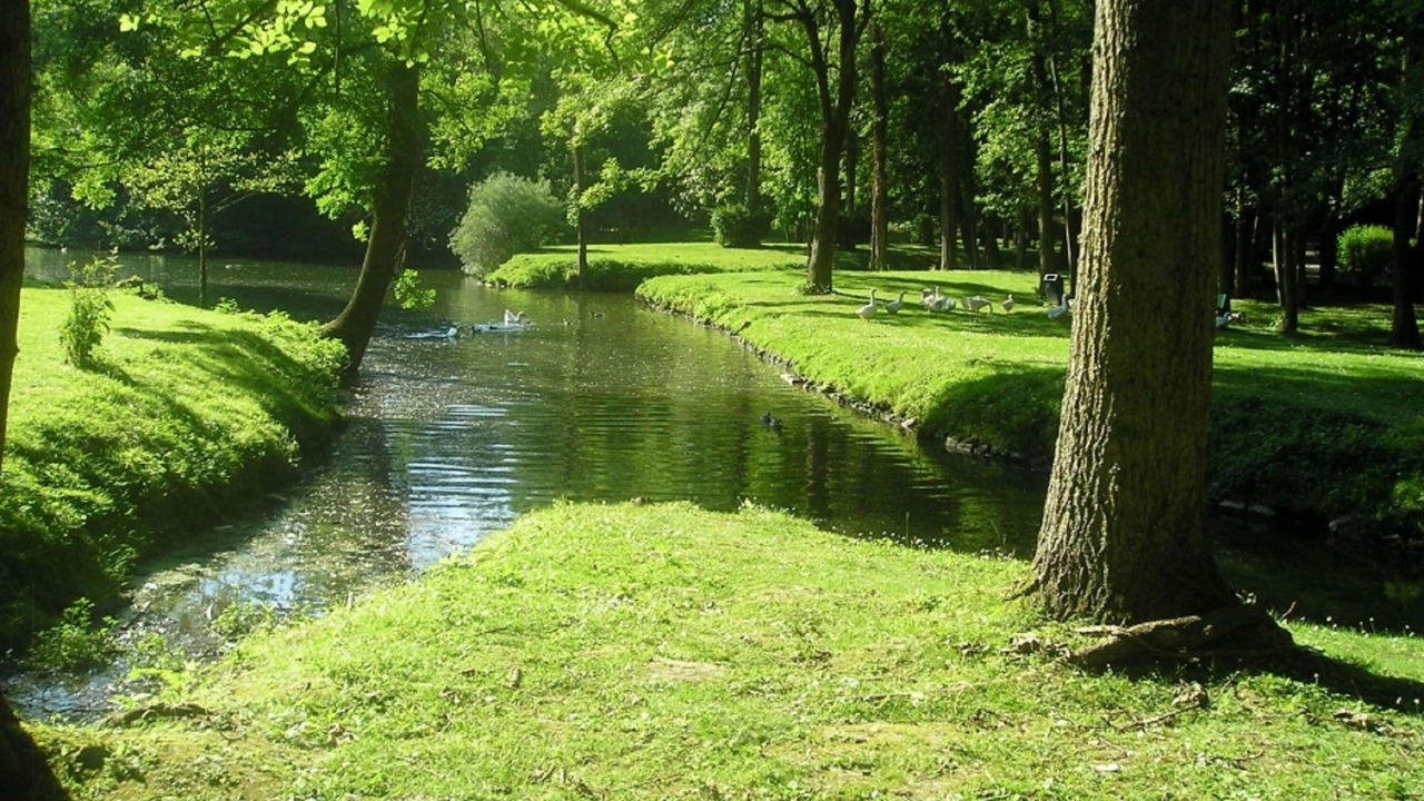 Photo of Others in Crepy-en-Valois