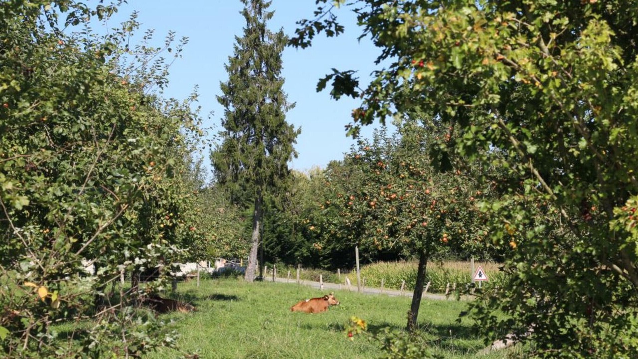 Photo of Outdoor in Antoigny