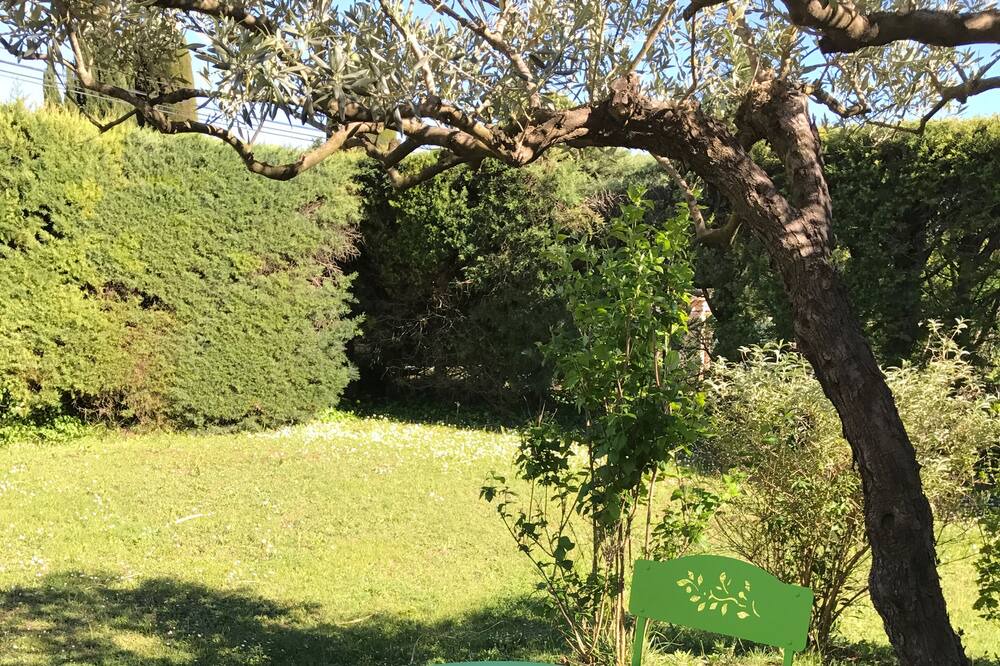 Photo of Outdoor in Villecroze