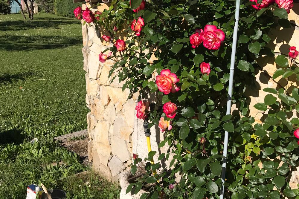 Photo of Outdoor in Villecroze