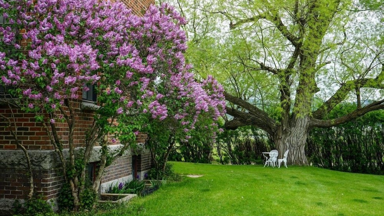 Photo of Outdoor in Helena West Side