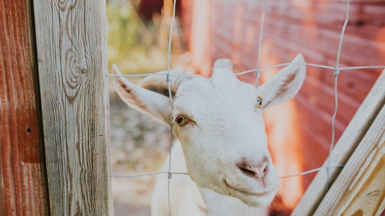 Photo of Others in Helena West Side