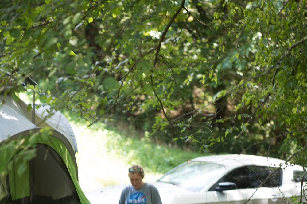 Photo of Others in Gainesboro