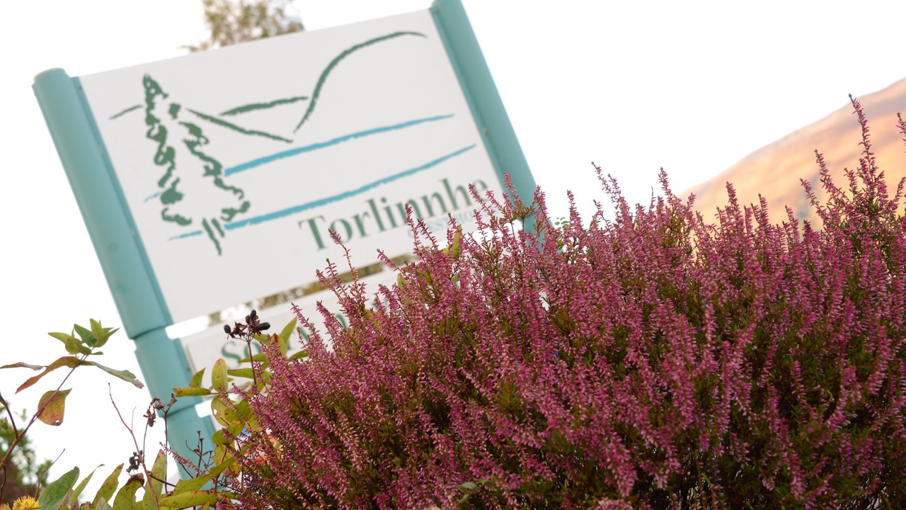 Photo of Others in Fort William