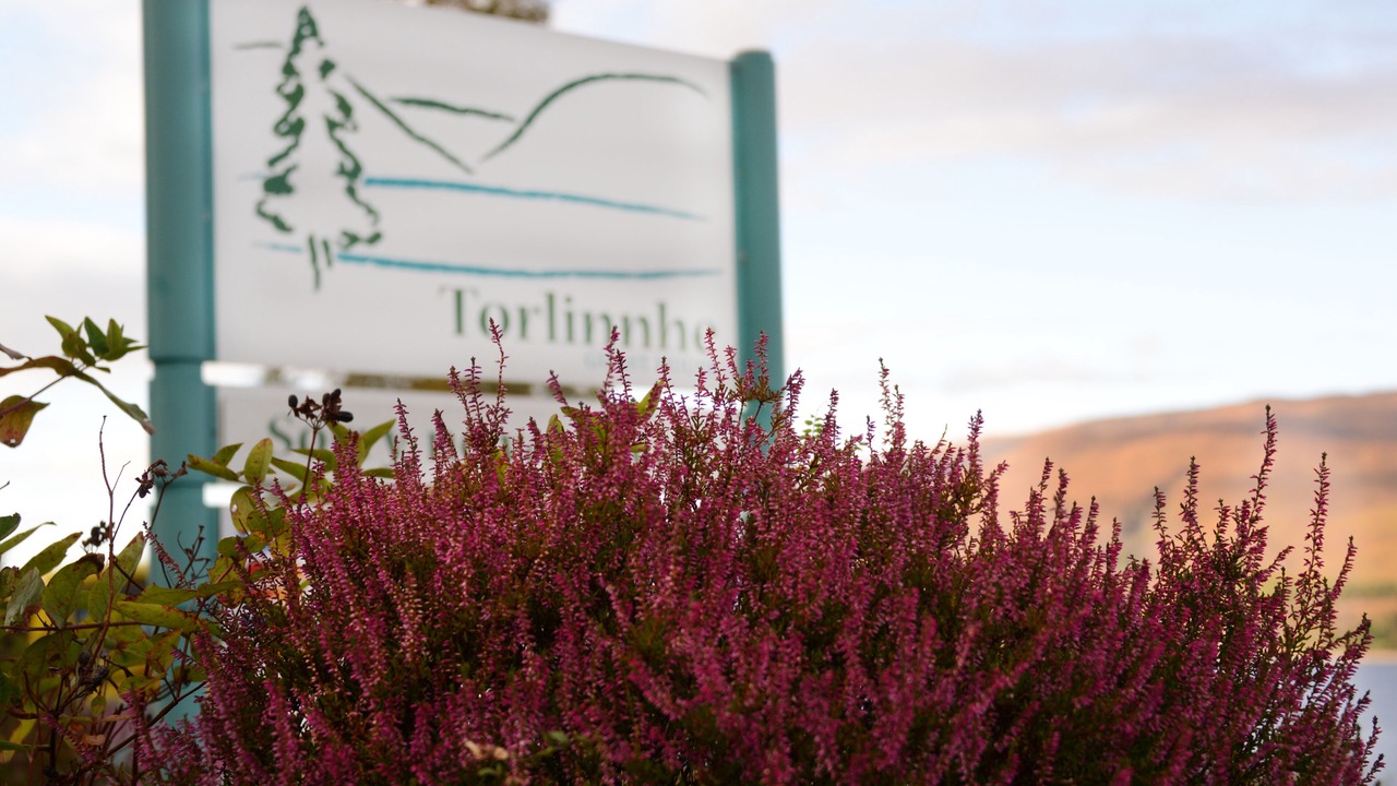 Photo of Others in Fort William