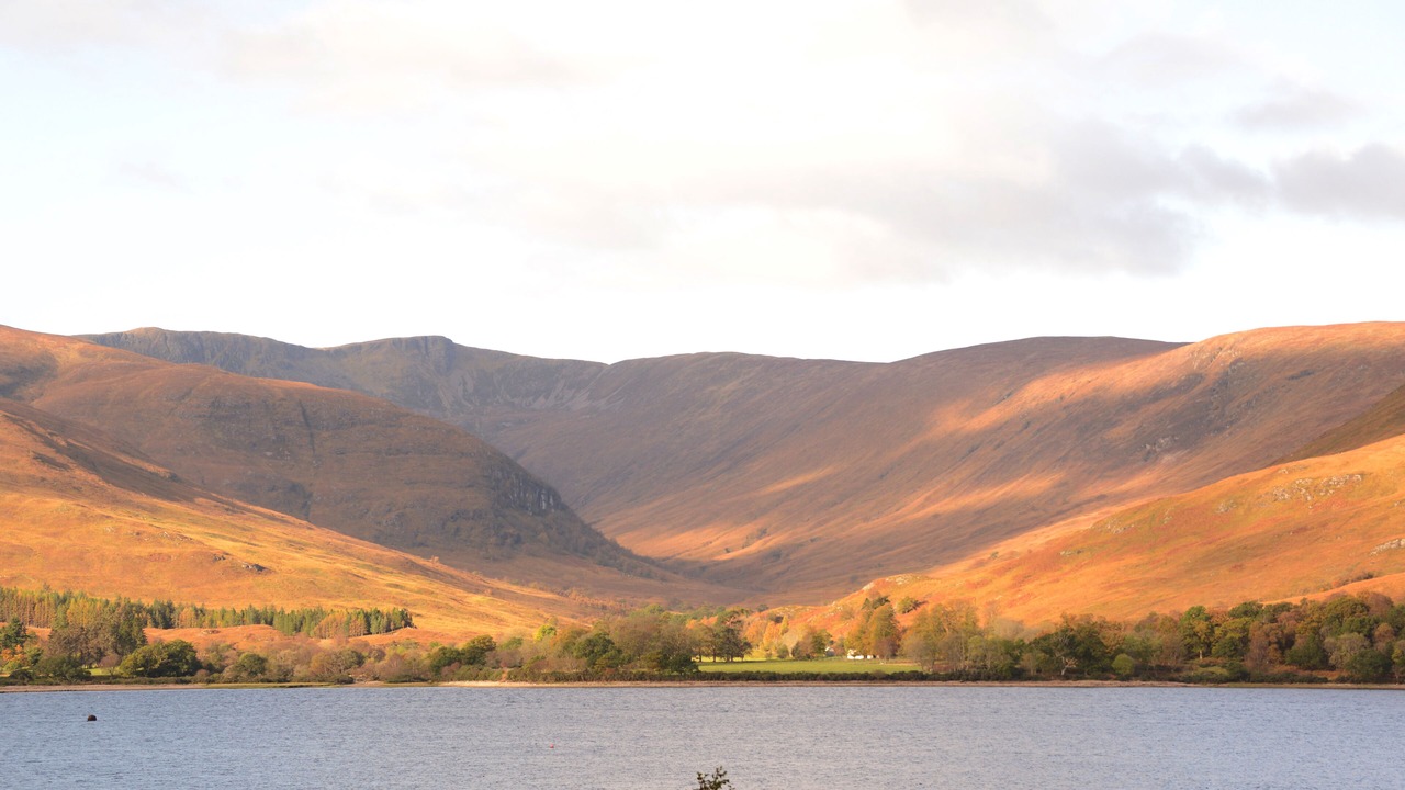 Photo of Others in Fort William