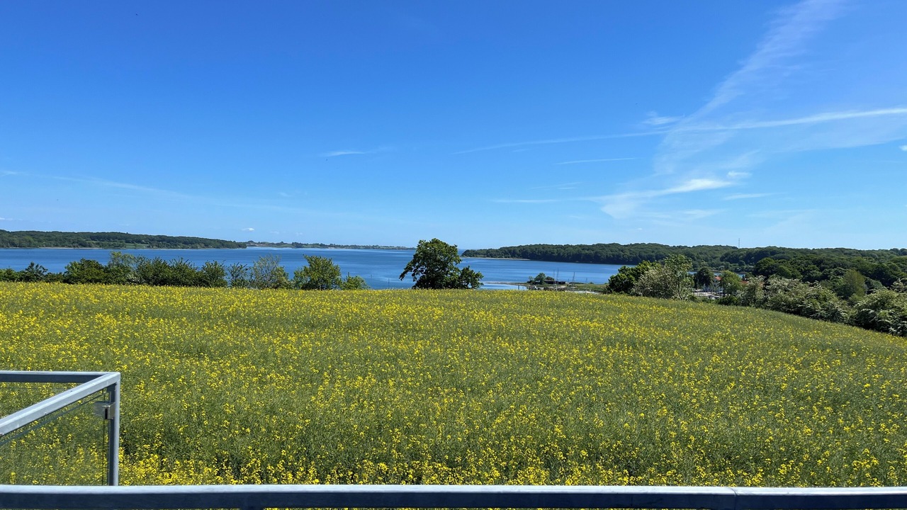 Photo of Outdoor in Rodekro
