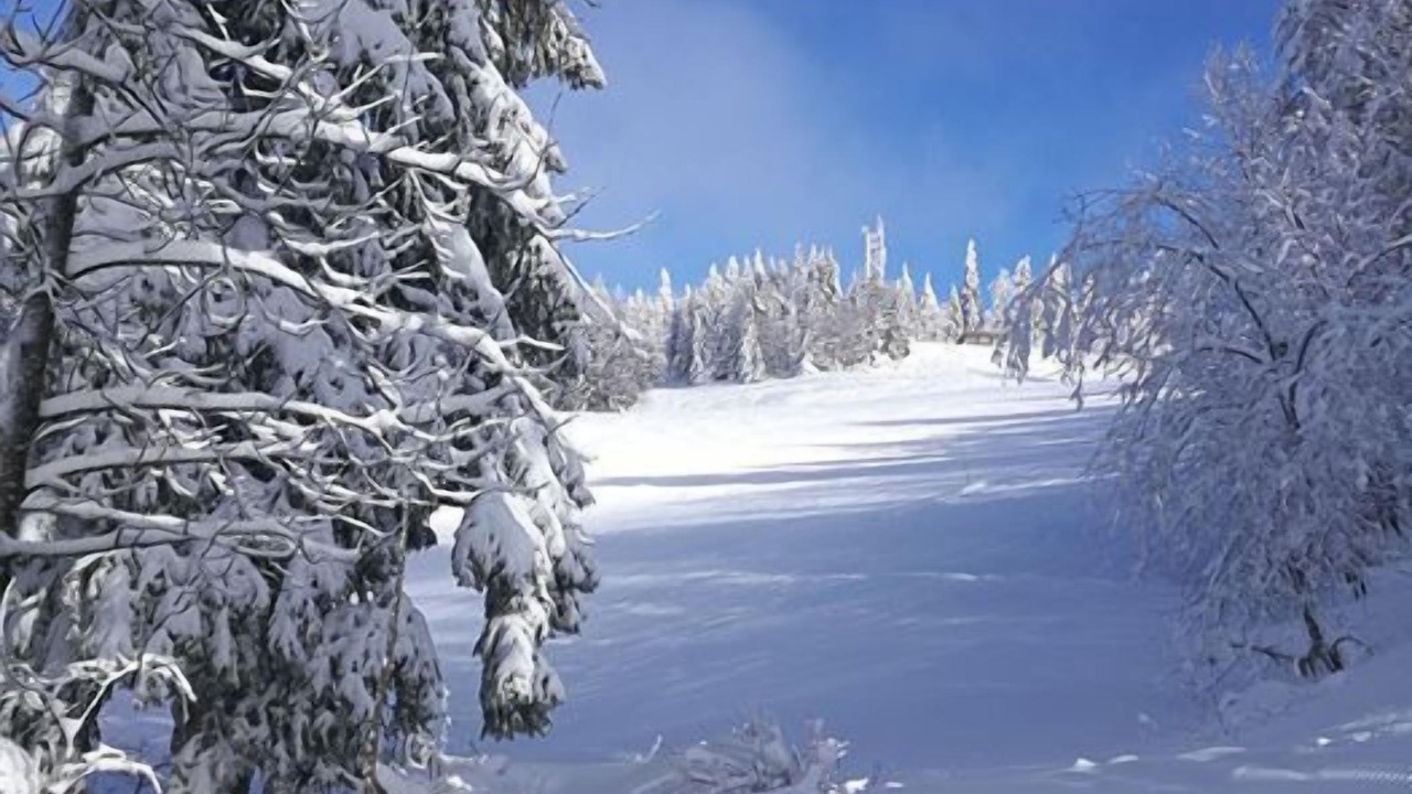 Photo of Others in Morteau